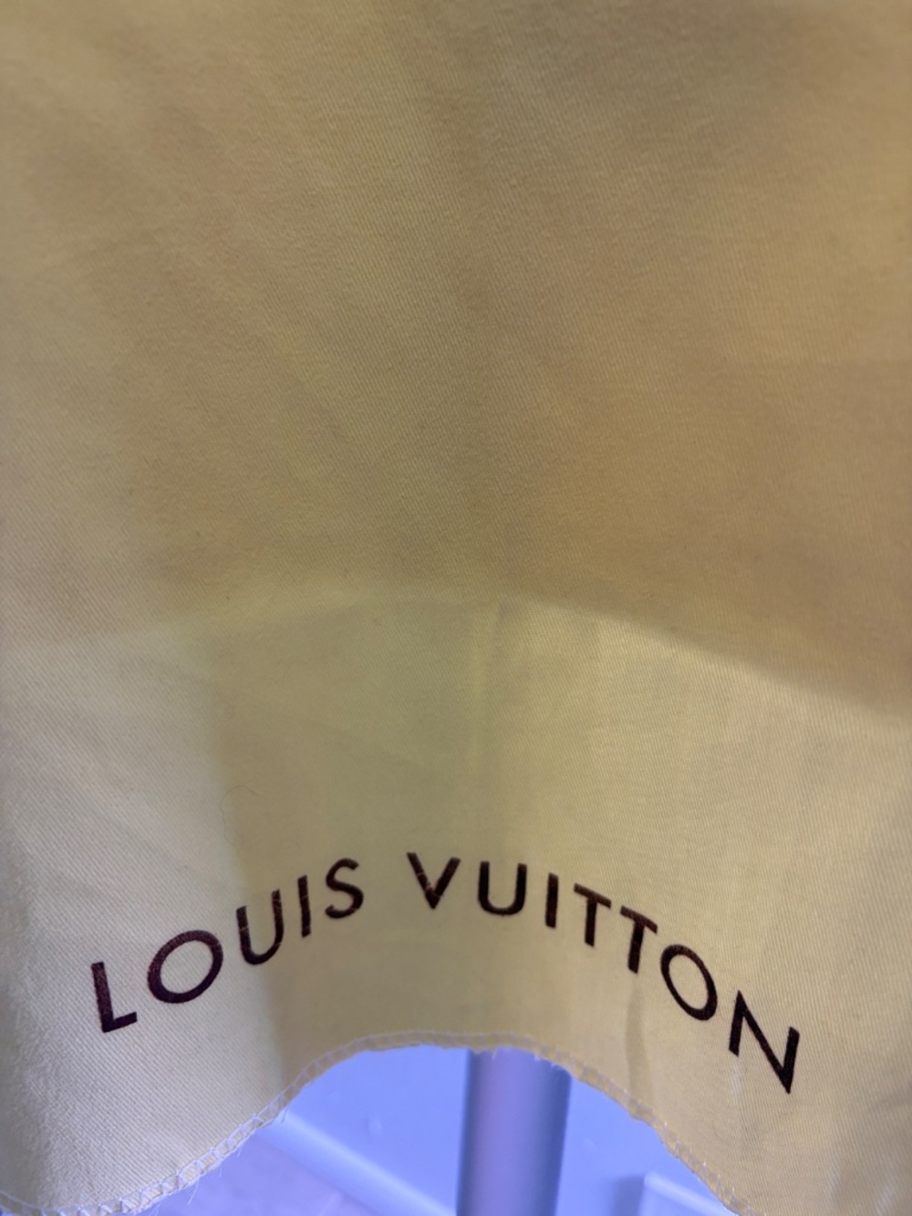 Louis Vuitton Duster Bag for purse or briefcase - Picture 2 of 9